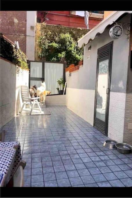 Napoli Centro Casa Con Due Camere E Cucina Exterior foto